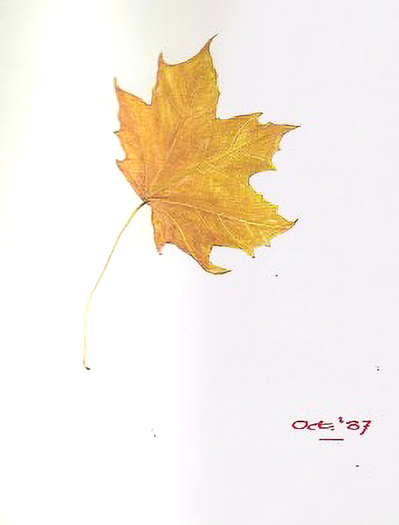 Leaf October 1987